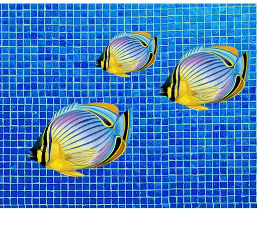Custom Mosaics Aqua Decal Graphics RedFin Butterfly Fish Group (3) 8inches x 6inche | LX-GROUP-13 A