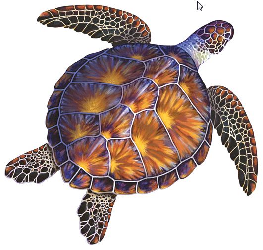 Custom Mosaics Aqua Decal Graphic Single Brown Turtle Lg 17inches x 18inches | LX | LX-SINGLE-50 B