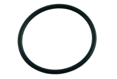 Hayward Viper Inline Filter O-Ring | AX5010G19