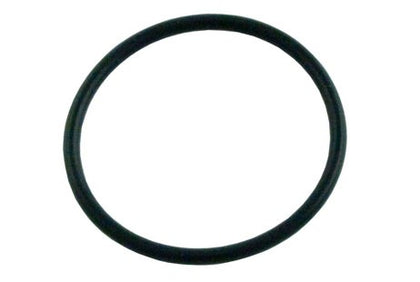 Hayward Viper Inline Filter O-Ring | AX5010G19