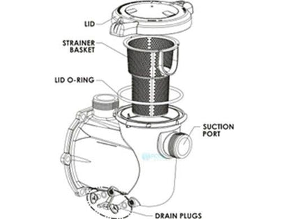 Pentair 356346Z black strainer pot kit for IntelliFlo3 VSF 1.5 HP pumps