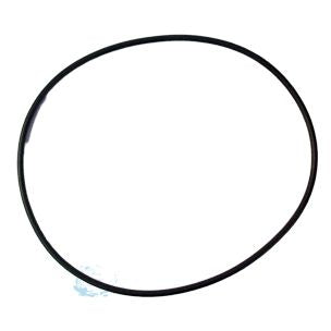 Pentair O-RING FOR LID T/M 8 POSITION | 50151700