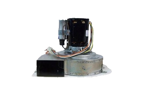 Pentair Minimax NT Blower with Gasket 250STD 300STD 250LN | 472362