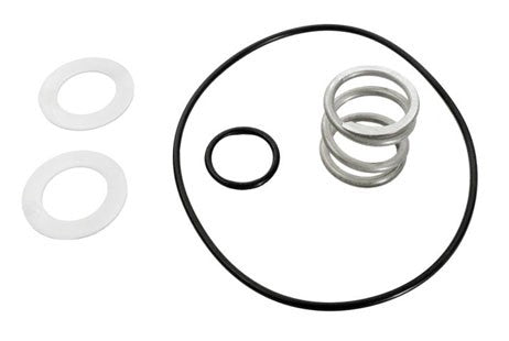 Pentair 1.5" TM MPV Spring & O-Ring Kit | 14962-0035