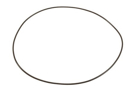 Astral Fluidra O-Ring for Motor Clamp 77318R38026 | 7731838026