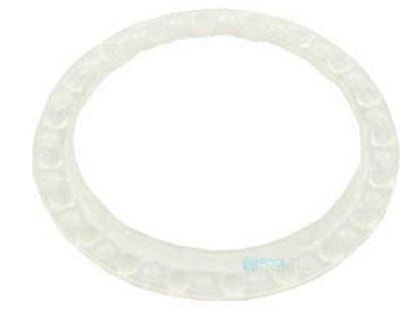 Pentair SWIVEL BEARING WASHER | K12087