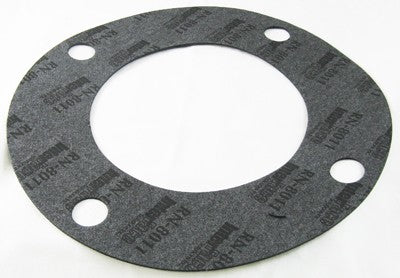 Pentair P11050 Gasket Flange P-135 5" | 070943