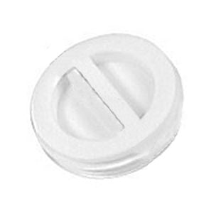 Pentair PLUG WINTERIZING 1.5" #850 | R22010