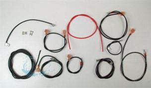 Raypak WIRE HARNESS MV VERSA 055A | 004010F