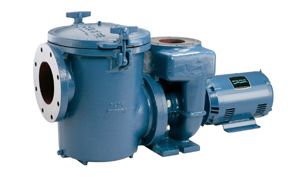 Pentair CCSP SERIES PUMP 15HP 3PH 230/460V COMM | CCSPHM3-144