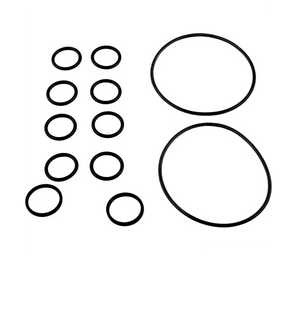 Jandy R0552400 o-ring kit for the Never Lube 2-in-1 backwash valve