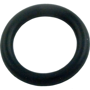 Polaris P40 genuine OEM shaft o-ring for the PB4-60 booster pump