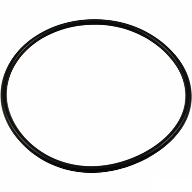 Hayward O-Ring for Micro Star-Clear Filter Lid