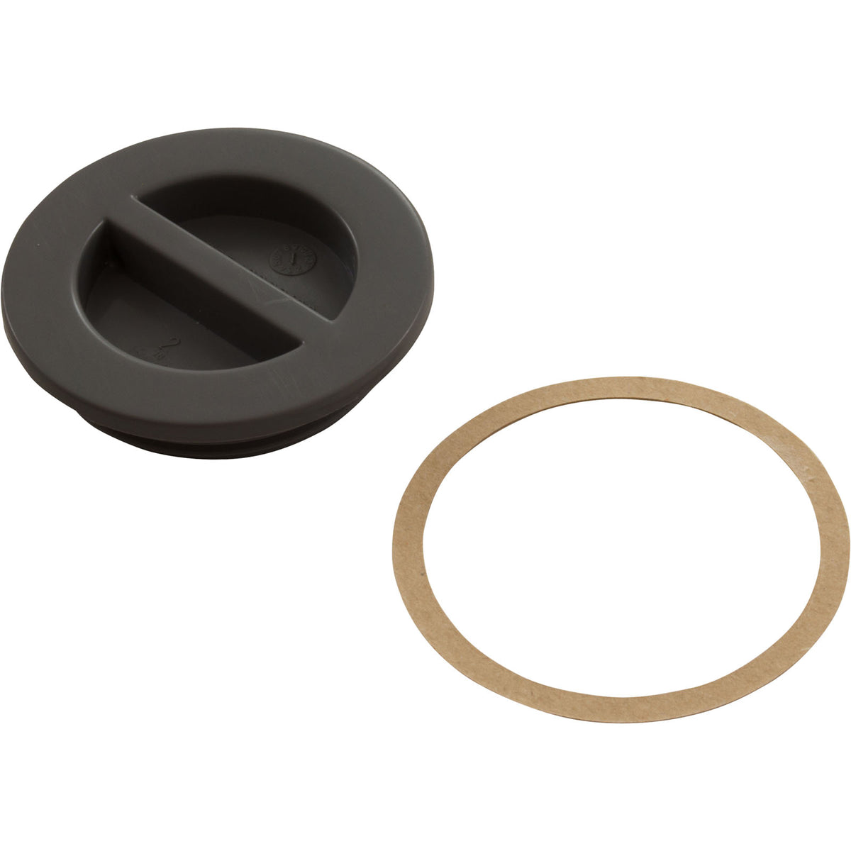 CMP 25542-007-000 1.5 inch MPT dark gray flat pool plug with gasket