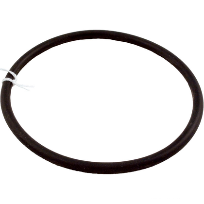 Sta-Rite O-Ring for 5" Trap Lid (O-19)