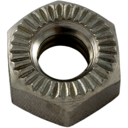 Pentair 98211400 brass plated stainless steel 1/4 inch-20 hex nut