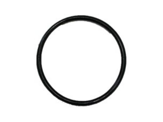 CompuPool JD363PIPO pipe adapter O-Ring