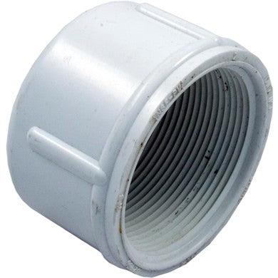 Lasco 448-020 2 inch FIPT threaded PVC cap