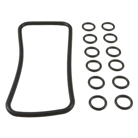 Pentair 77707-0120 manifold o-ring kit for Max-E-Therm and MasterTemp heaters