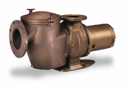 Pentair 011660 C Series 15 HP three phase commercial bronze pump with hair and lint strainer, CHK-150