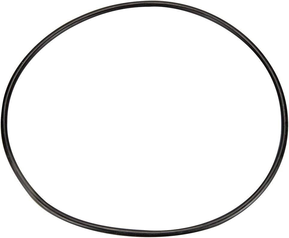 Pentair 356148Z seal plate o-ring for the IntelliFlo3 VSF 1.5 HP pump