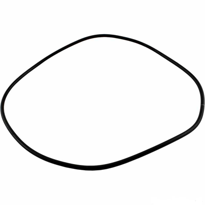 Jandy O-Ring, Backplate