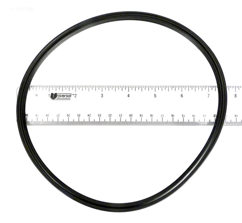 Paramount 005-152-0120-00 o-ring for the Clear Canister lid