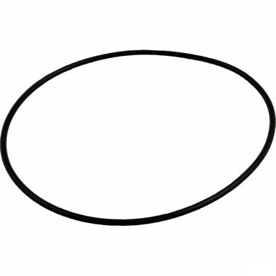 Waterway 805-0256 pump volute faceplate o-ring