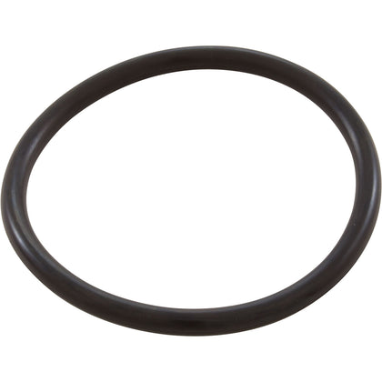 Pentair 154492 genuine OEM 2 inch bulkhead o-ring for pool filters