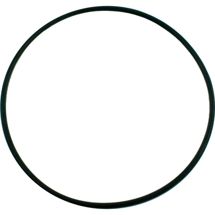 Pentair SuperFlo Seal Bracket O-Ring