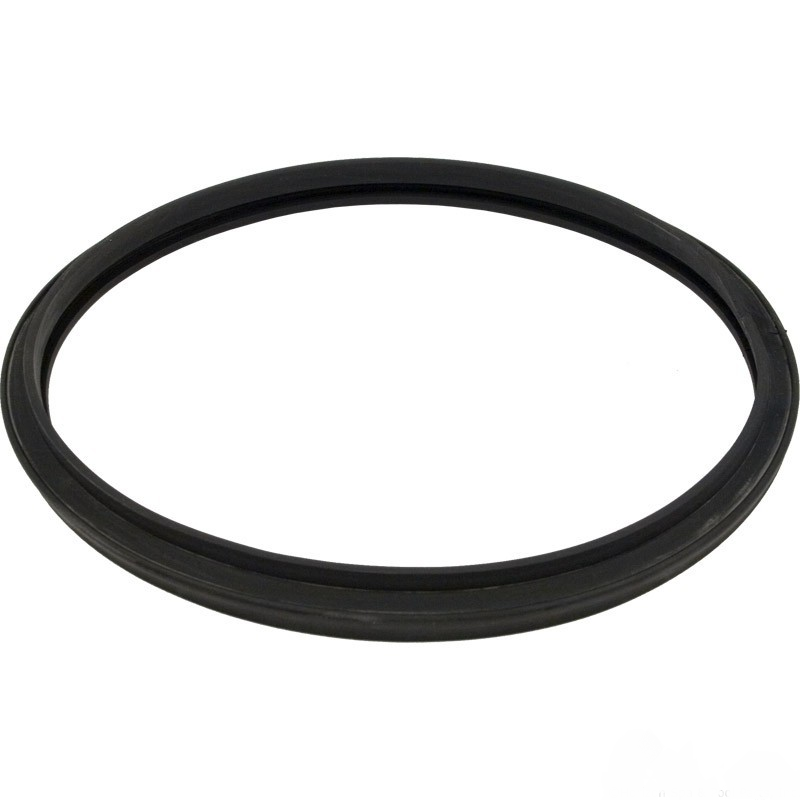 Hayward CX250F Star-Clear filter head gasket