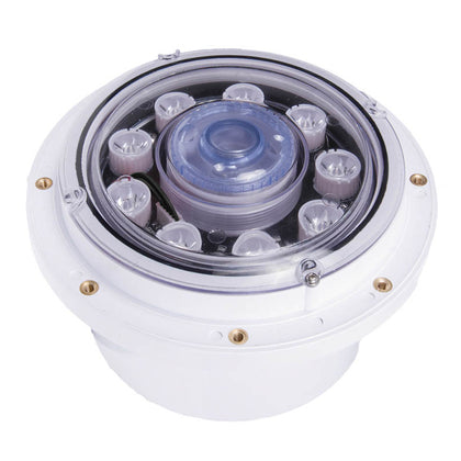 CMP Brilliant Wonders 25503-100-000 8 in. J-style RGB LED gunite bubbler with 100 ft cord