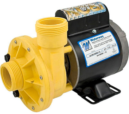 Waterway 3410030-1E Iron Might 1/15 HP circulation pump, 115V, 48 frame