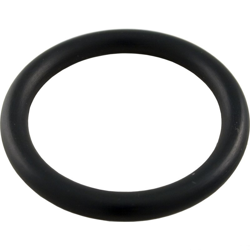 Pentair 51005000 drain cap fitting o-ring