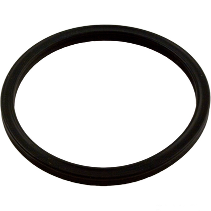 Pentair Genuine OEM High Flow Diffuser O-Ring
