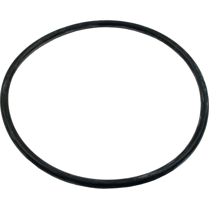 Pentair 39300600 locking lid o-ring for the Ultra Flo pump