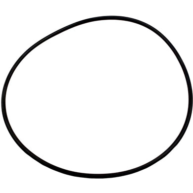 Sta-Rite 2" Cover O-Ring 14971-SM20E7
