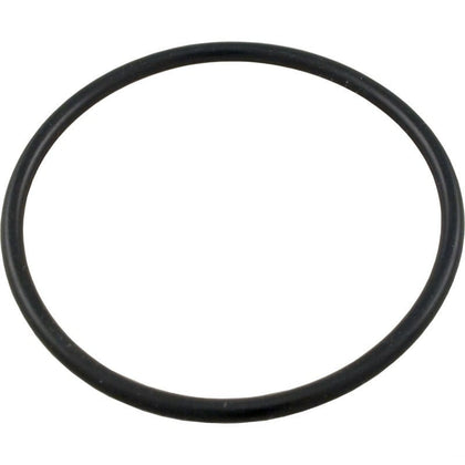 Hayward O-Ring, End Connector | SPX1495Z1