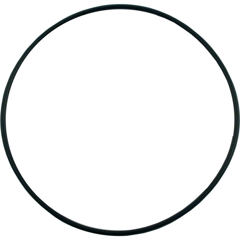 Hayward Housing O-Ring Gasket | SPX1705Z1