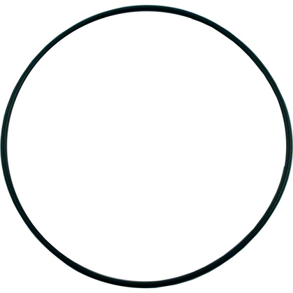 Hayward Housing O-Ring Gasket | SPX1705Z1