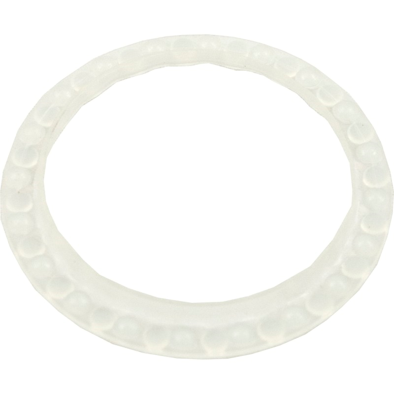 Pentair SWIVEL BEARING WASHER | K12087