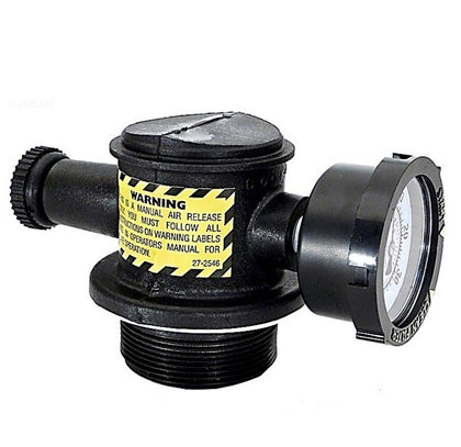 Pentair Black Manual Air Relief Assembly | 273550