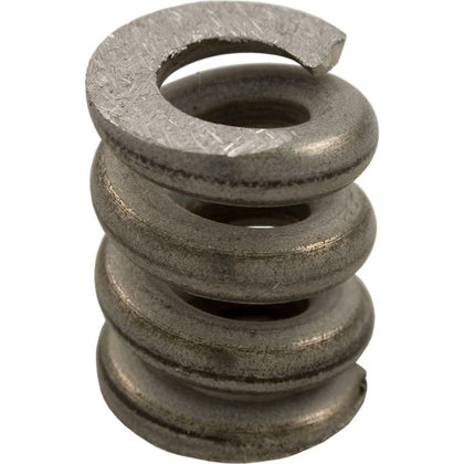 Pentair Genuine OEM Clamp Spring | 194988