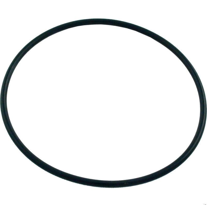 Zodiac 165-65 Chamber O-Ring | 6-412-00
