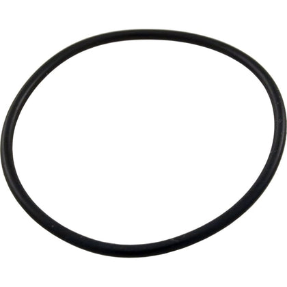 Pentair FNS Plus Stand Pipe O-Ring | 59000600