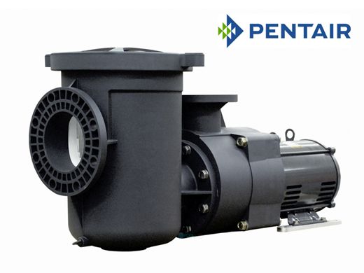 Pentair EQ 500 Commercial Pool Pump with Strainer 10HP  - 6" Suction x 4" Discharge | Single Phase | 340238