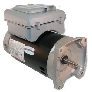 AO Smith E-Plus Centurion Two Speed Motor 1.25HP 115V Square Flange | B2981T