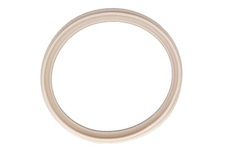 Hayward Diaphragm Gasket Perflex DE | ECX1105