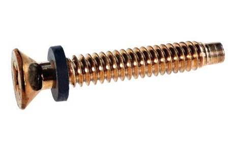 Pentair American Products Brass Light Pilot Screw with Rubber Washer | Sold Indidually | 79104800 79104800Z