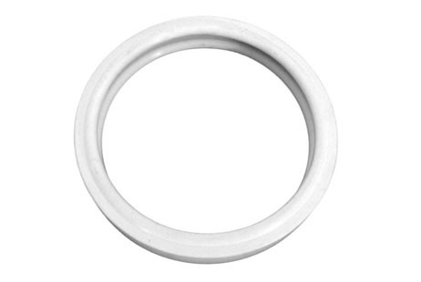 Pentair Gasket Silcone For 100W & 250W | 79108600